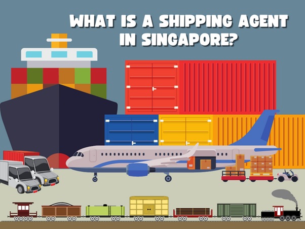     The Role And Responsibility Of A Shipping Agent In Singapore