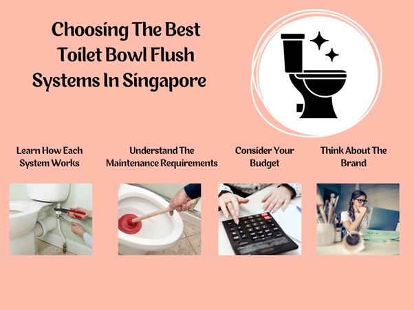  Choosing The Best Toilet Bowl Flush Systems In Singapore