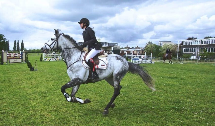  The Benefits Buying Quality Horse Wear