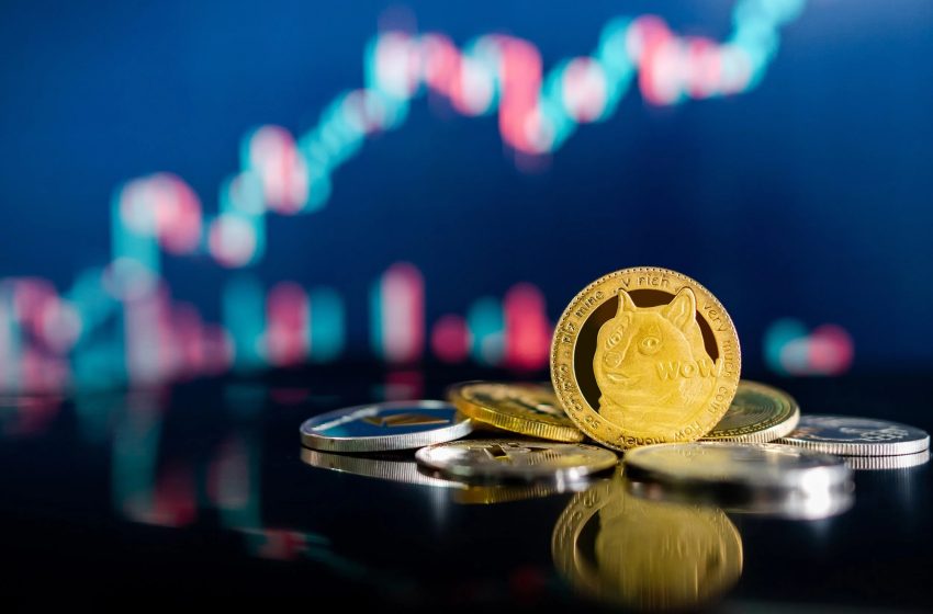 Why are meme coins thriving on layer 2 networks?