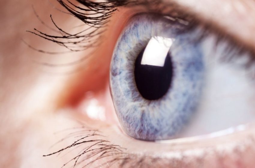  Why Routine Eye Exams at Hawaii Clinic Are Key to Long-Term Eye Health