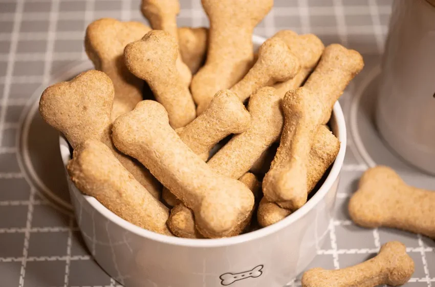  How To Shop for Full-Spectrum CBD Pet Treats Online