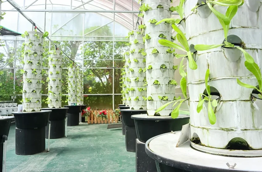  Why Hydroponic Towers Make Growing Easier