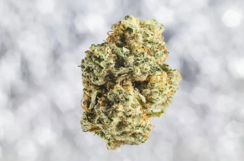  How seed-to-sale records work for wholesale hemp flower?